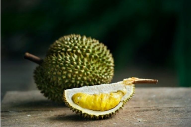 Tanam durian
